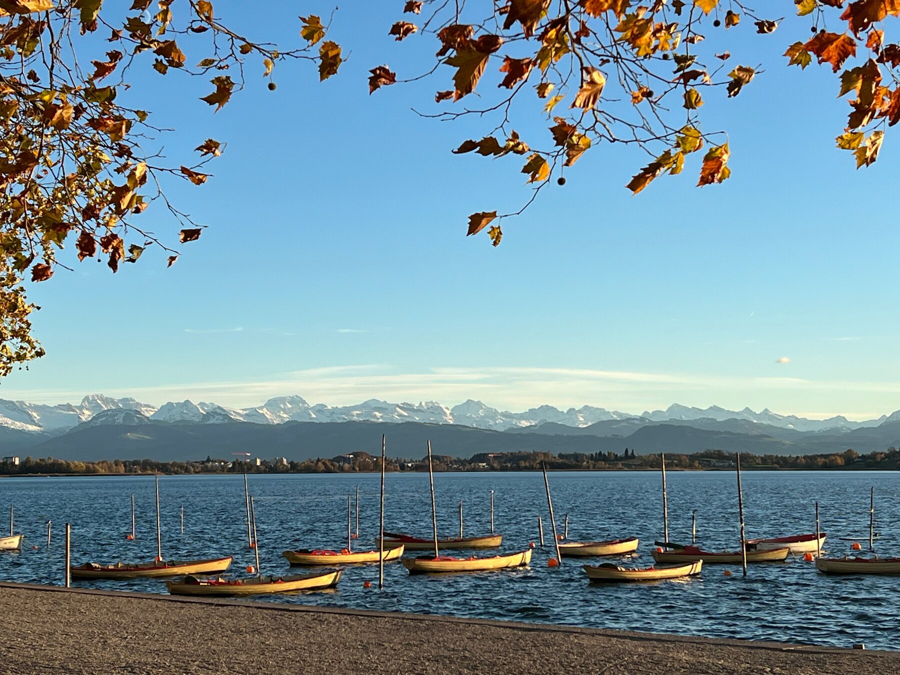 Pfäffikersee mit Blick auf die Alpen